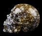 Preview: Skull Coffee Opal